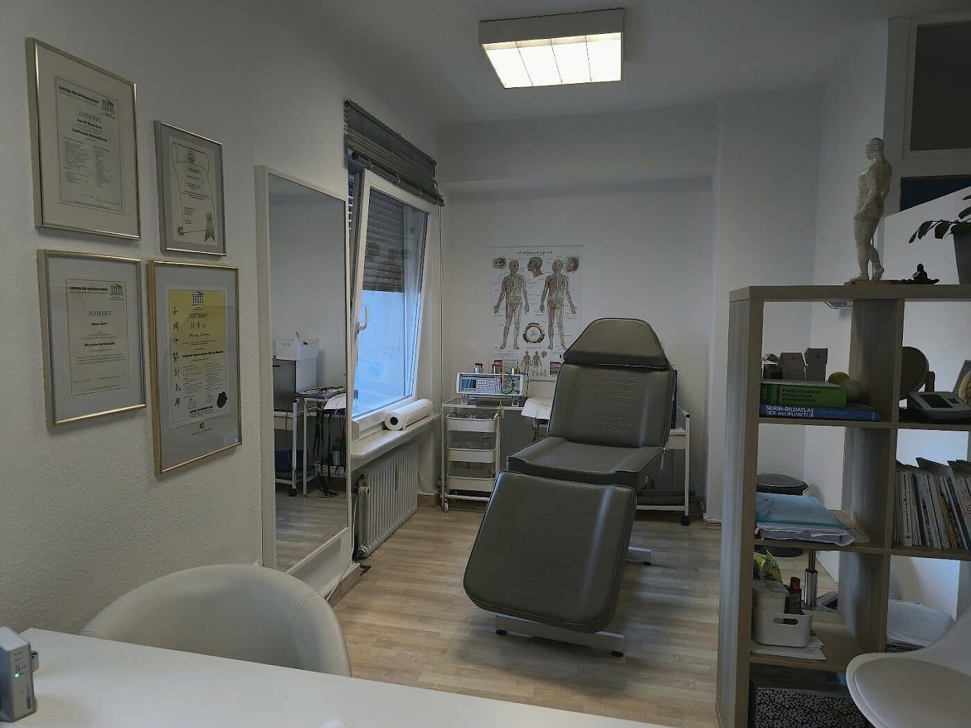 Bioresonanz (BICOM) in der Naturheilpraxis Karra — Bioresonanztherapie mit dem BICOM-Gerät